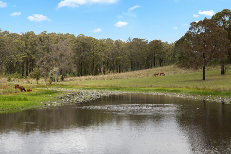 Forster Holiday Rentals by Pacific Coast Holidays in ForsterTuncurry