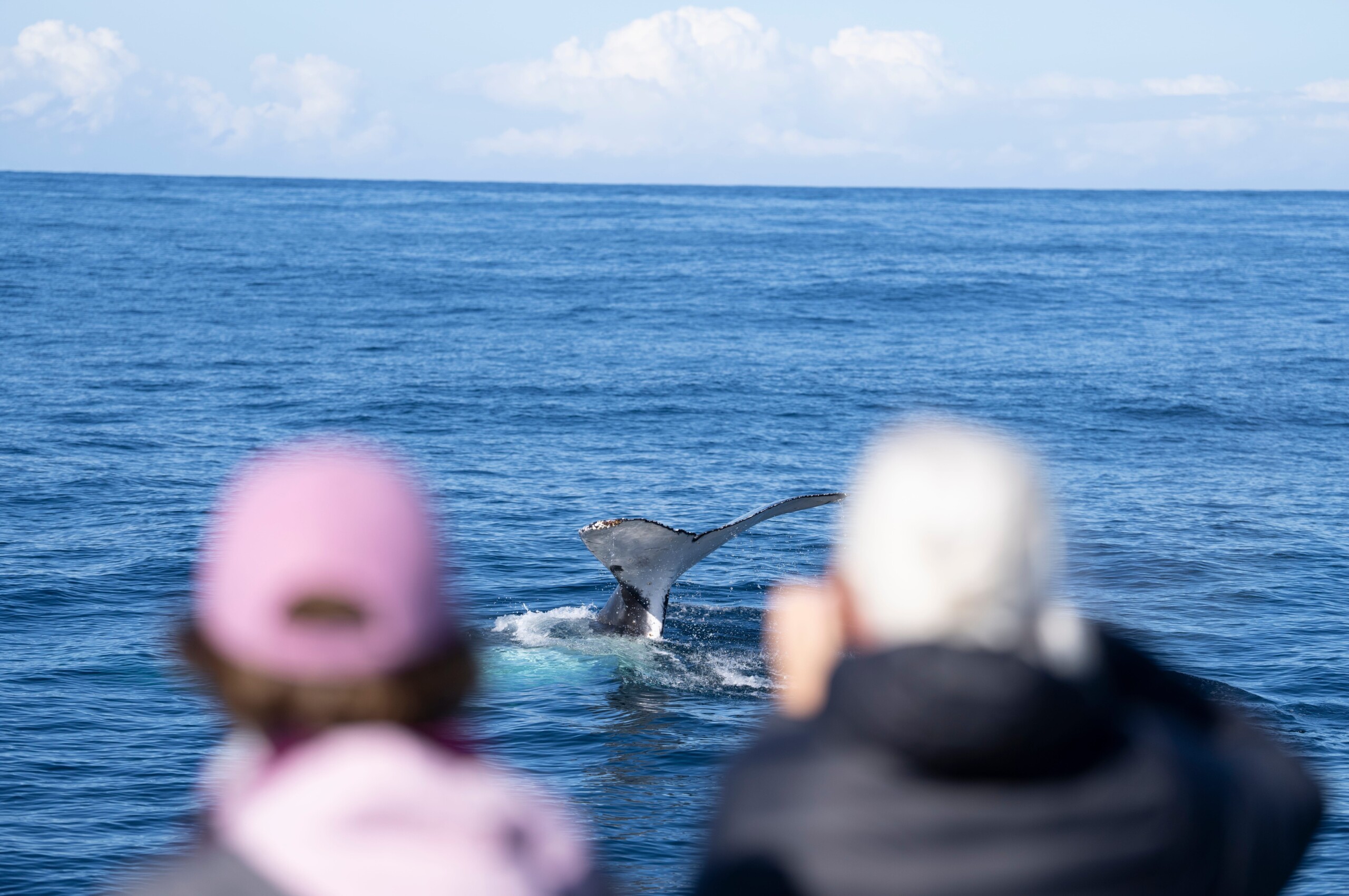10 Things to Do in Forster-Tuncurry During Winter